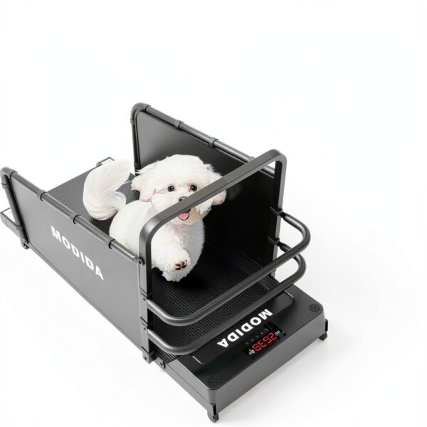 MODIDA Dog Treadmill Adjustable Speed Carbon Steel-2