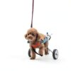 HobeyHove Pet Wheelchair Adjustable Aluminum Dog Stroller-2
