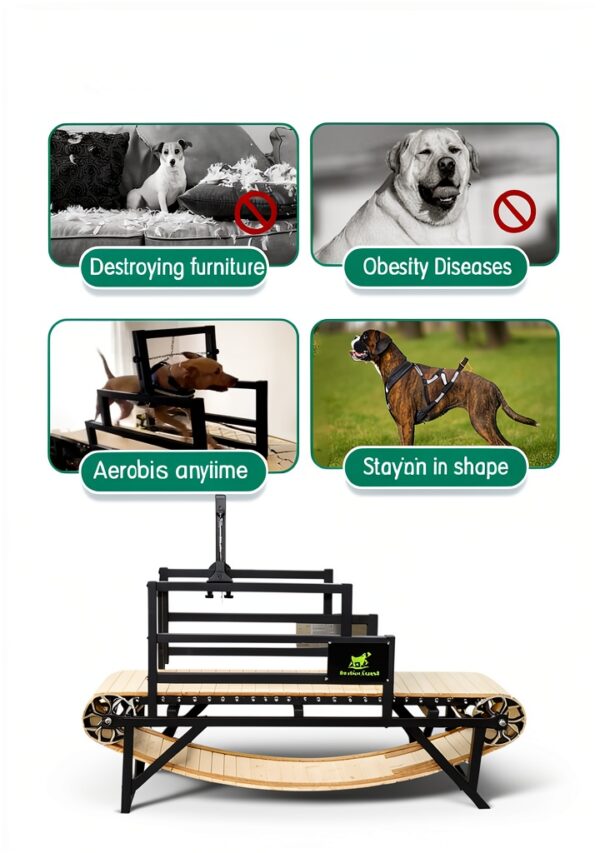 BowWowTread Dog Treadmill Wood Non Electric Pet Exercise-3