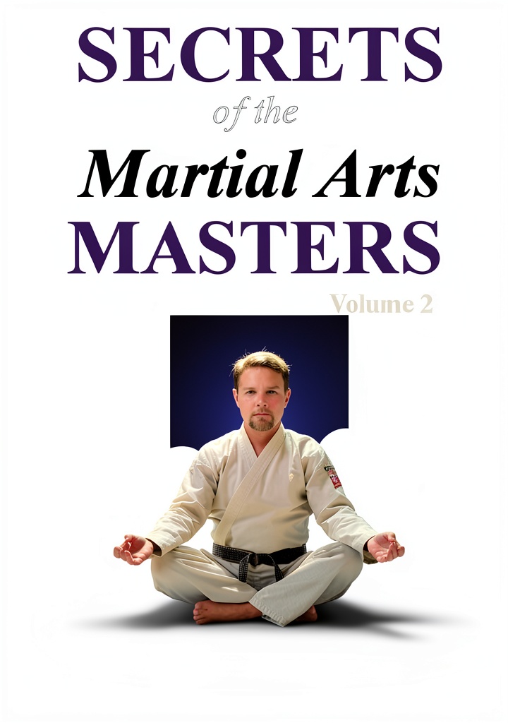 'Martial Arts Masters Book 2 cover on a Kindle device'