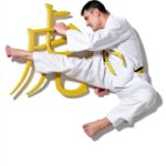 Martial Arts eBook English Kindle Taekwondo Karate Fiction-0