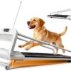 KWOJU Dog Treadmill Foldable Stainless Steel Pet Exercise-1