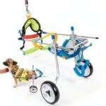 HobeyHove Pet Wheelchair Adjustable Aluminum Dog Stroller-0