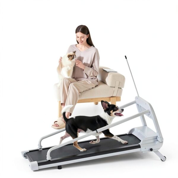 BeSokar Pet Treadmill 2.5HP Motor Foldable Design-6