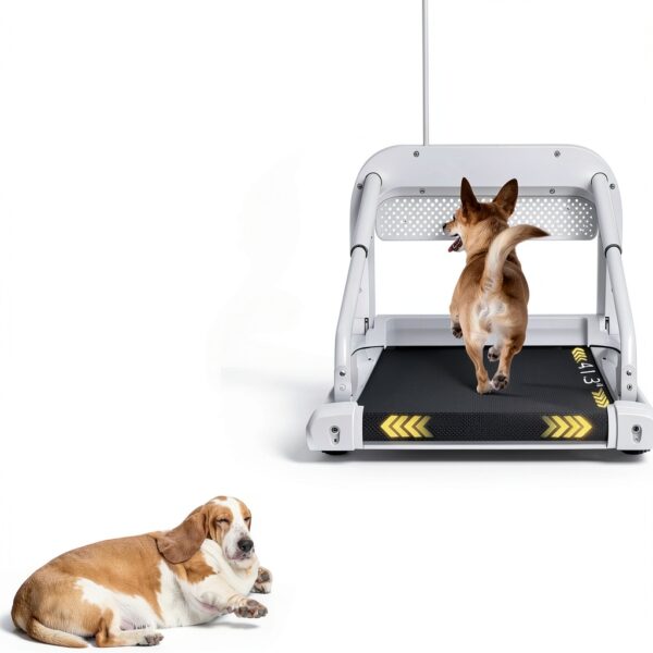 KWOJU Dog Treadmill Foldable Stainless Steel Pet Exercise-5