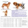 HobeyHove Pet Wheelchair Adjustable Aluminum Dog Stroller-1