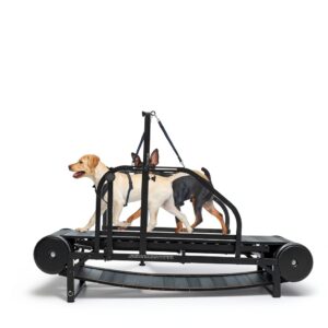 Moysoon Dog Treadmill Self-Propelled Medium Black Adjustable-0