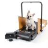 KDSOM Dog Treadmill Foldable Orange Small Medium Pet-6