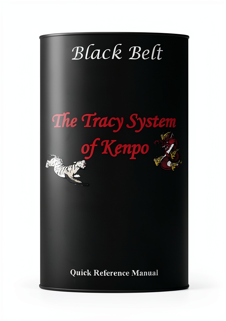 'Martial Arts eBook displayed on a Kindle device showing Taekwondo techniques'