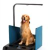 IRCPEN Dog Treadmill Foldable Metal Design for Pets-5