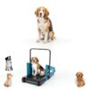 IRCPEN Dog Treadmill Foldable Metal Design for Pets-4