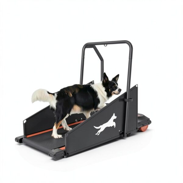 KWOJU Dog Treadmill Compact Design Stainless Steel Pet-5