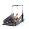 Ternewby Dog Treadmill Black Compact Design Adjustable Speed-4