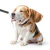 XUVIRA Dog Treadmill Non Motorized Adjustable Slope Training-2