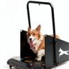 KWOJU Dog Treadmill Compact Design Stainless Steel Pet-4