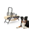 Holymuss Dog Treadmill 69 Inch Carbon Steel Pet Exercise-5