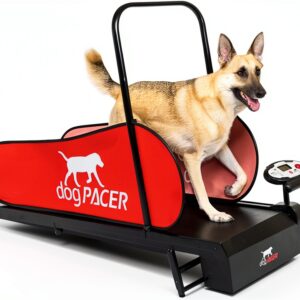 DogPACER Dog Treadmill Folding Design Indoor Exercise-0