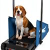 IRCPEN Dog Treadmill Foldable Metal Design for Pets-0