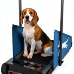 IRCPEN Dog Treadmill Foldable Metal Design for Pets-0