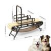 Holymuss Dog Treadmill 69 Inch Carbon Steel Pet Exercise-4