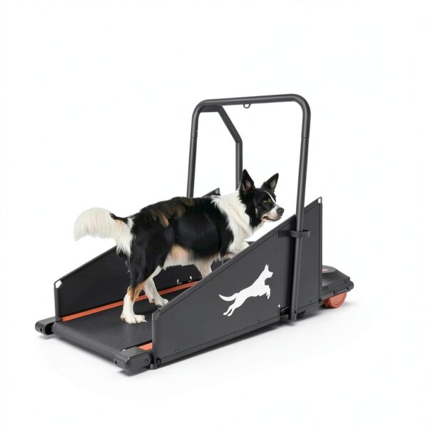 Beuiosda Dog Treadmill Foldable Stainless Steel Pet Exercise-3