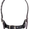 SM Bondage Restraints KinkKit Adjustable Nylon Kit-5